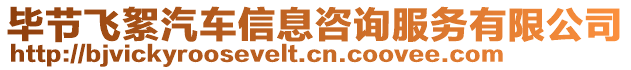 畢節(jié)飛絮汽車信息咨詢服務(wù)有限公司