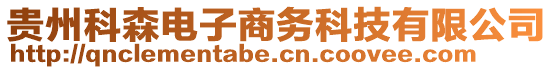 贵州科森电子商务科技有限公司