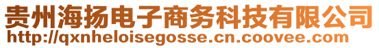 貴州海揚(yáng)電子商務(wù)科技有限公司