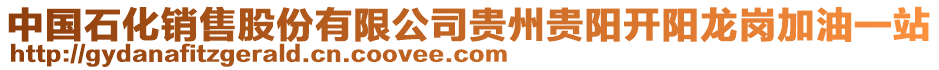 中國(guó)石化銷售股份有限公司貴州貴陽(yáng)開陽(yáng)龍崗加油一站