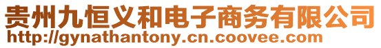 貴州九恒義和電子商務(wù)有限公司