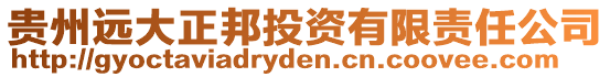 貴州遠(yuǎn)大正邦投資有限責(zé)任公司