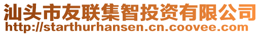 汕頭市友聯(lián)集智投資有限公司