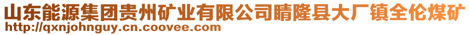 山東能源集團(tuán)貴州礦業(yè)有限公司睛隆縣大廠鎮(zhèn)全倫煤礦