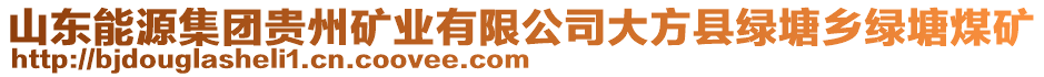 山東能源集團(tuán)貴州礦業(yè)有限公司大方縣綠塘鄉(xiāng)綠塘煤礦