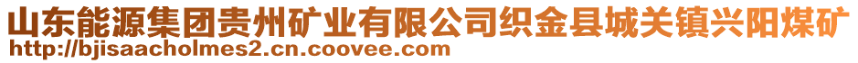 山東能源集團(tuán)貴州礦業(yè)有限公司織金縣城關(guān)鎮(zhèn)興陽(yáng)煤礦