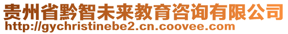 貴州省黔智未來教育咨詢有限公司