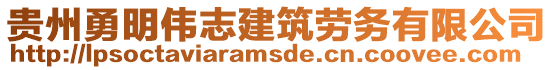 貴州勇明偉志建筑勞務有限公司