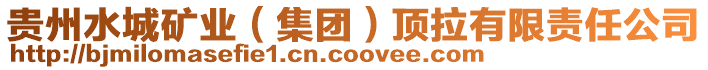 貴州水城礦業(集團)頂拉有限責任公司