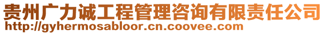 貴州廣力誠工程管理咨詢有限責(zé)任公司