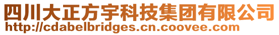 四川大正方宇科技集團(tuán)有限公司