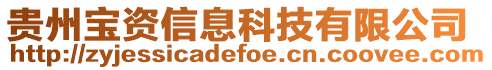 貴州寶資信息科技有限公司