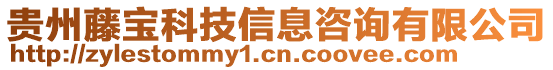 貴州藤寶科技信息咨詢有限公司