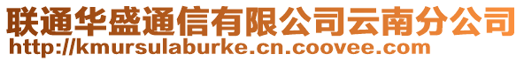 聯(lián)通華盛通信有限公司云南分公司