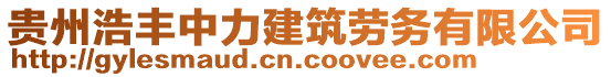 貴州浩豐中力建筑勞務(wù)有限公司