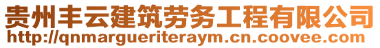 貴州豐云建筑勞務(wù)工程有限公司