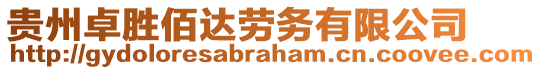 貴州卓勝佰達勞務(wù)有限公司