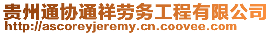 貴州通協(xié)通祥勞務工程有限公司