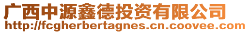 廣西中源鑫德投資有限公司