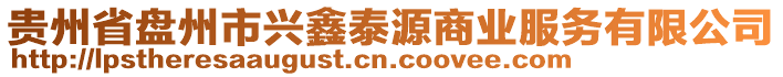 貴州省盤州市興鑫泰源商業(yè)服務有限公司