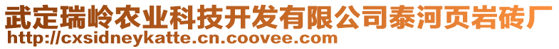 武定瑞嶺農(nóng)業(yè)科技開發(fā)有限公司泰河頁巖磚廠