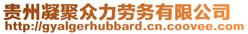 貴州凝聚眾力勞務有限公司