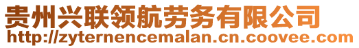 貴州興聯(lián)領(lǐng)航勞務(wù)有限公司