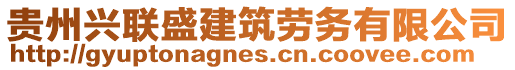 貴州興聯(lián)盛建筑勞務(wù)有限公司