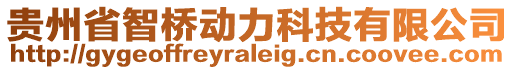 貴州省智橋動力科技有限公司