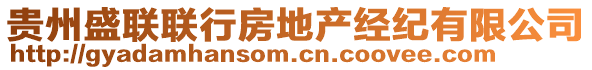 貴州盛聯(lián)聯(lián)行房地產(chǎn)經(jīng)紀(jì)有限公司