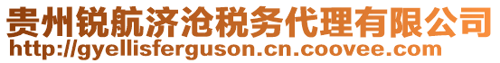 貴州銳航濟(jì)滄稅務(wù)代理有限公司