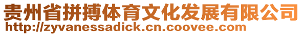 貴州省拼搏體育文化發展有限公司
