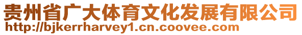 貴州省廣大體育文化發(fā)展有限公司