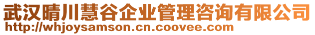 武漢晴川慧谷企業(yè)管理咨詢有限公司