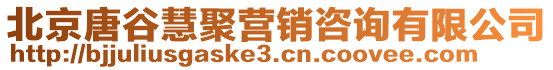 北京唐谷慧聚營(yíng)銷咨詢有限公司