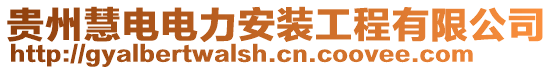 貴州慧電電力安裝工程有限公司