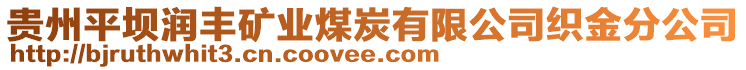 貴州平壩潤豐礦業(yè)煤炭有限公司織金分公司