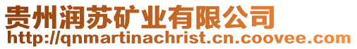 貴州潤蘇礦業有限公司
