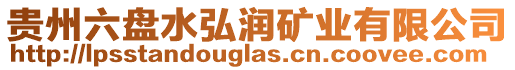 貴州六盤水弘潤(rùn)礦業(yè)有限公司