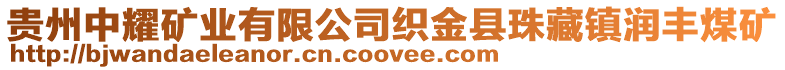 貴州中耀礦業(yè)有限公司織金縣珠藏鎮(zhèn)潤豐煤礦