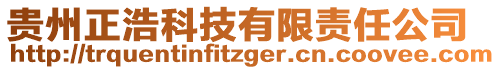 貴州正浩科技有限責任公司