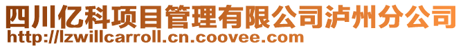 四川億科項目管理有限公司瀘州分公司