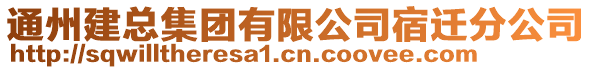 通州建總集團(tuán)有限公司宿遷分公司