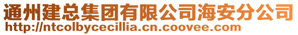 通州建總集團有限公司海安分公司