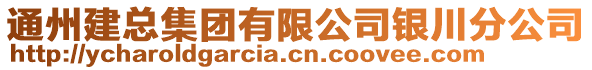 通州建總集團有限公司銀川分公司