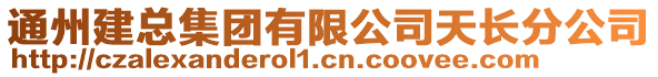 通州建總集團有限公司天長分公司