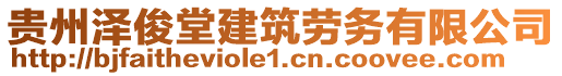 贵州泽俊堂建筑劳务有限公司