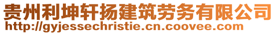 贵州利坤轩扬建筑劳务有限公司