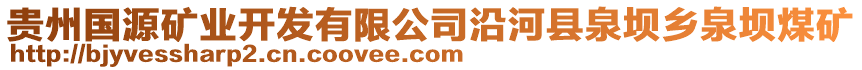 貴州國(guó)源礦業(yè)開發(fā)有限公司沿河縣泉壩鄉(xiāng)泉壩煤礦