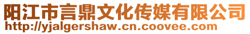 陽江市言鼎文化傳媒有限公司